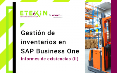 Gestión de inventarios en SAP Business One (III): informes de existencias (II)