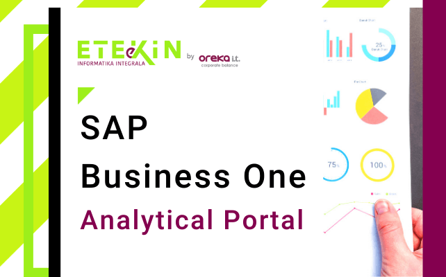 SAP Business One Analytical Portal