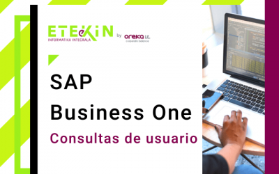 SAP Business One: Consultas de usuario