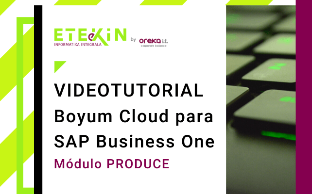 Boyum Cloud para SAP BUSINESS ONE: Módulo Produce