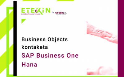 Business Objects-en zenbaketa Business One Hana-n