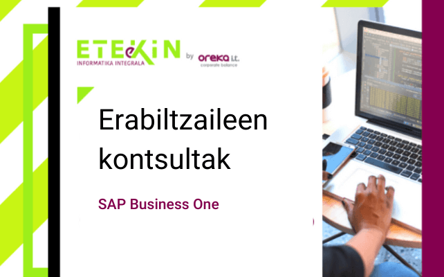 SAP Business One: Erabiltzaileen kontsultak