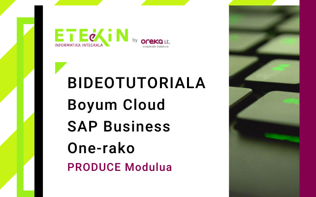 Boyum Cloud SAP BUSINESS ONErako: ekoizpen modulua